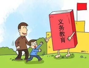濰坊發(fā)布2017年城區(qū)義務教育招生政策，教育咨詢服務同步啟動